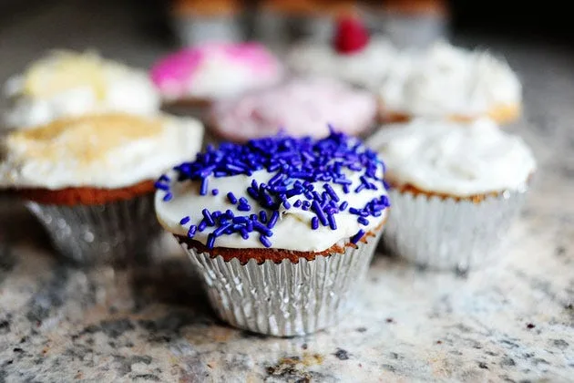 Vanilla cupcakes with vanilla cream cheese icing displayed on a surface, showing fluffy white frosted cupcakes